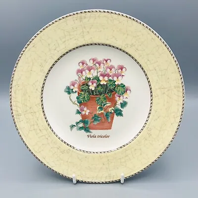 £9.95 • Buy Wedgwood  Queens Ware - Side Plate - Sarah Garden “ Viola Tricolor” 