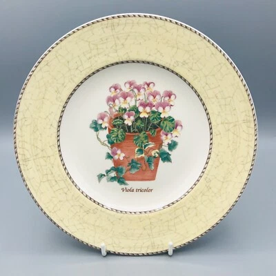 £9.95 • Buy Wedgwood  Queens Ware - Side Plate - Sarah Garden “ Viola Tricolor” 
