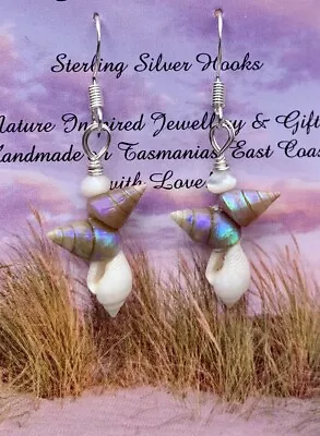 Maireener & Snail Shell Sterling Silver Earrings ~Tasmanian Rare Shell~ • $77