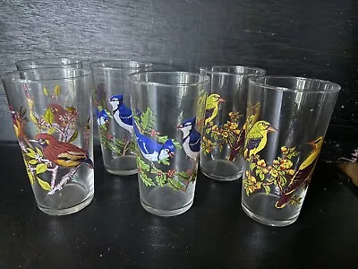 Vintage Set 6 Colourful Birds Design Tumbler Glasses 1960’s MCM • £18.99