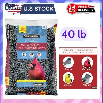 Select Black Oil Sunflower Seed Wild Bird Feed 40 Lb. Bag • $19.98