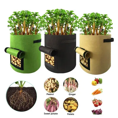 1-2pcs Grow Bags Potato Tomato Plant Bag Home Garden Vegetable Planter Container • £3.99