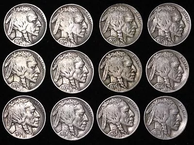 ALL 12 NICE Coins 1934 - 1938 P D S BUFFALO NICKELS 5c! Short Set! FREE P/H • $20