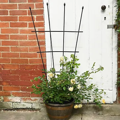 Garden Gear 1.2m Fan Trellis Garden Plant Flower Support Planter Frame Lattice • £20.99