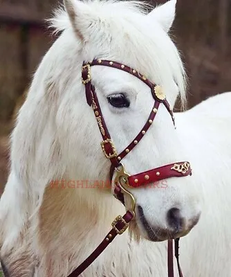 Highland New Horse Tack Red Leather Spanish Bridle & Reins Set DR456 • $189