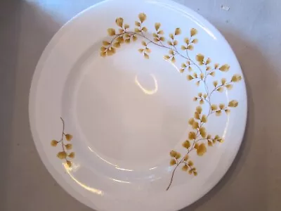 2 Martha Stewart Collection Macy's Maidenhair Fern Yellow Dinner Plates Lg 11.5  • $19.99