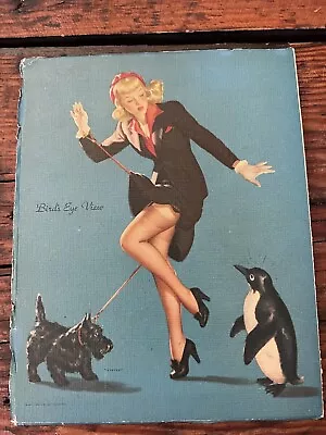 Vintage Elvgren Pin-Up Pinup Girl Art Print - Bird’s Eye View • $25