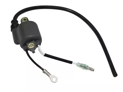 Genuine OEM Echo 15662602111 Ignition Coil For PB400E PB410 PB411 Leaf Blowers • $63.95