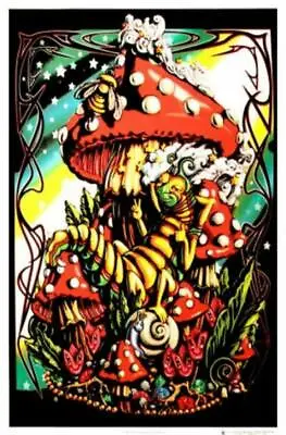 Mushroom Catapillar Blacklight Flocked Poster  - 23x35 -  1834 - New • $13.95