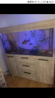 Fish Tank • £800