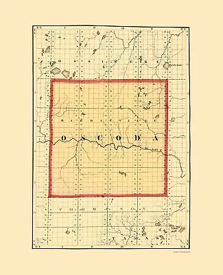 Oscoda County Michigan - Walling 1873 - 23.00 X 28.30 • $36.95