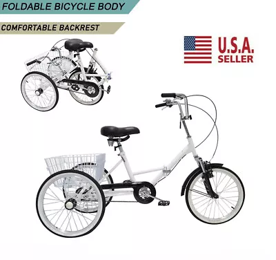 Adult Tricycle Trike Cruiser Foldable 24  7 Speed 3Wheel Bike Shopping W/Basket • $159.99