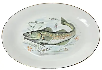 KUBA PORZELLAN Fish Platter Tray Bavaria Germany Porcelain 15  Gold Rim • $31.96