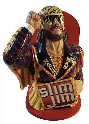 COLLECTOR EDITION MACHO MAN RANDY SAVAGE Slim Jim Limited Edition WWE • $15