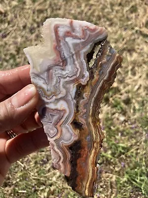 Crazy Lace Agate Slab (Mexico) • $24