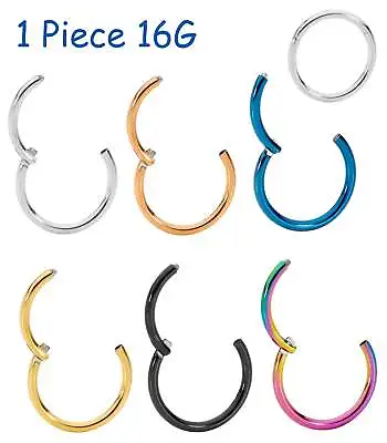1 Piece Steel 16G Hinged Hoop Segment Ring Lip Ear Helix Nose Eyebrow Earring • $8.99