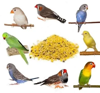 Beaphar Fortified Eggfood Dry Cage Bird Food Feed Seed Canary Finches Budgie • £14.99