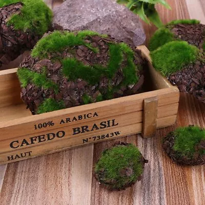 1SET Miniature Landscape Moss Stones HO/OO Scale Forest Plant Garden Scene Model • $9.49