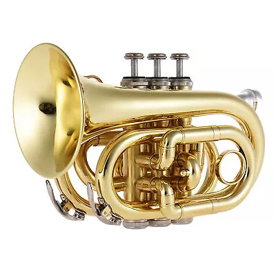 Pocket Trumpet Bb Flat Brass Wind Instrument With Mouthpiece D3K1 • $107.97