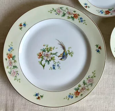 Heinrich Songbird 9.75” Dinner Plate Set Of 4 Bulgaria Germany HC Selb China • $49.95