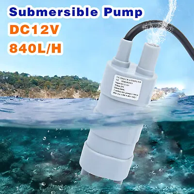 DC 12V Quiet Submersible Pump Wash Water Diesel Brushless Electric Oil Diesel • $9.09