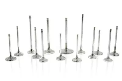 Ferrea Exhaust Valves For Acura/Honda B16A1/B17A1 28mm 5.45mm • $192.60