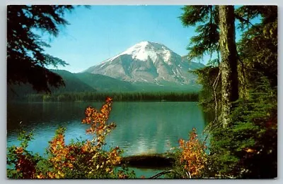 Spirit Lake  Mount St. Helens  Washington  Postcard • $5