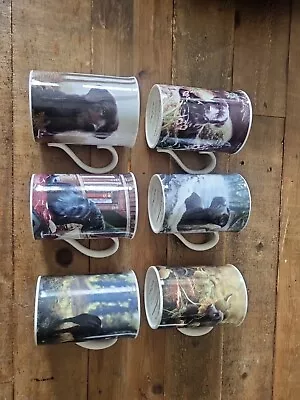 Danbury Mint Collectors Mugs Set Of 6 Black Labradors • £25