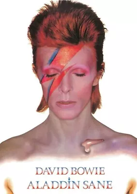 DAVID BOWIE ALADDIN SANE ALBUM COVER POSTER (61x91cm) MUSIC PICTURE PRINT ART • $24.90