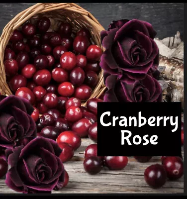 CRANBERRY ROSE Perfume Cologne Bath Beard Oil Lotion EDP Hair Scrub Body Splash • $3.50