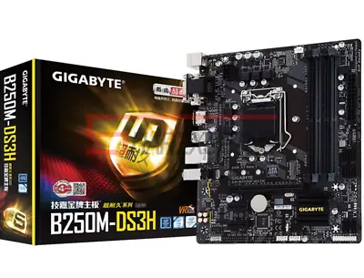 GIGABYTE B250M-DS3H DDR4 64G Micro-ATX LGA1151 Motherboard • $297.08