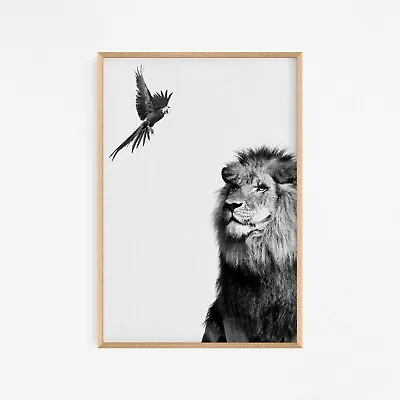$62.55 • Buy Black & White Lion Animal Art Large Print. Perfect For Home Decor