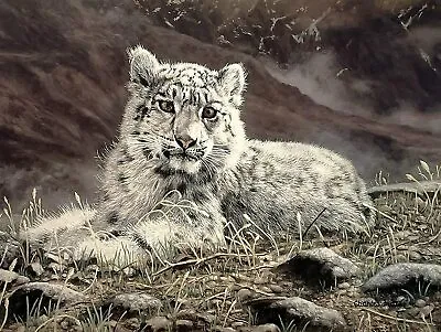 Baby Snow Leopard By Charles Frace Kitten Animal Wildlife Paper Fine Art Print  • $34.99