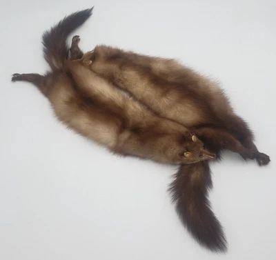 $99 • Buy 2 Real Stone Marten Biting Tails Sable Fur Genuine Natural