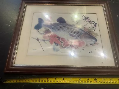 Old Chub Fishing Print In Frame    GARAGE FIND • £10
