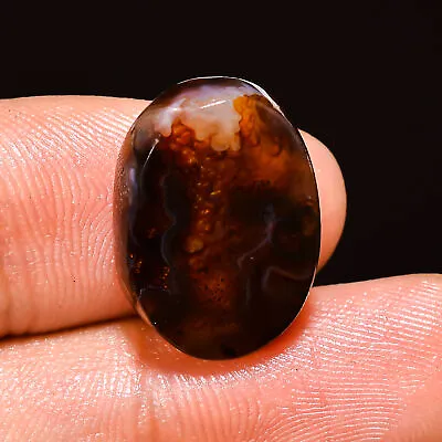 Natural MEXICAN FIRE AGATE Free Form Gemstone Jewelry 11.10 CT 12x17x4 Mm Cd_186 • $34.61