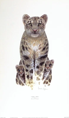 £16.89 • Buy WARWICK HIGGS  Cool Cats  Rare OUT-OF-PRINT Last Copies Cheetahs