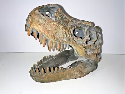 Tyrannosaurus Rex Dinosaur Head Sculpture • $30