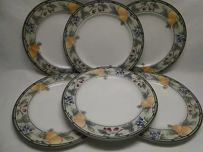 Mikasa Intaglio CAC29 Garden Harvest (6) 11 1/8  Dinner Plates EUC • $44.95