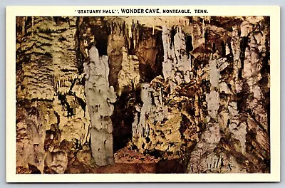 Statuary Hall Wonder Cave Monteagle Tennessee Vintage Postcard • $3.20