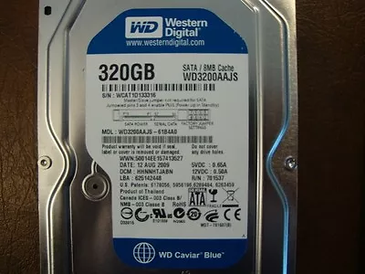 Western Digital WD3200AAJS-61B4A0 DCM:HHNNHTJABN 3.5  320gb Sata Hard Drive • £46.86