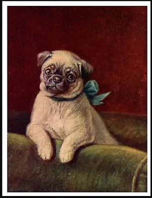 £5.99 • Buy Pug Dog On A Chair Lovely  Vintage Style Dog Art Print Poster 