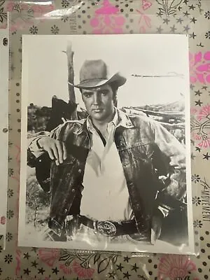 Amazing Young Elvis Presley Press Promo 8x10 Photo Stay Away Joe • $12.99