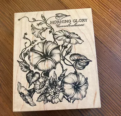 PSX K-2047 MORNING GLORY Flower Botanical Wood Mounted Rubber Stamp 1996 • $12.99