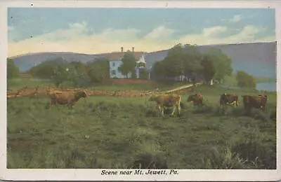 Postcard Scene Near Mt Jewett PA  • $20