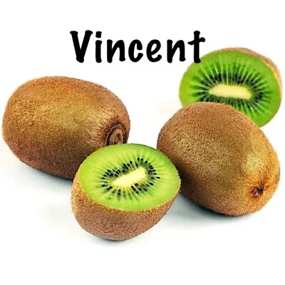 Vincent Female Kiwi - Actinidia Chinensis - And Male Tomuri! 2 Live Plants • $20