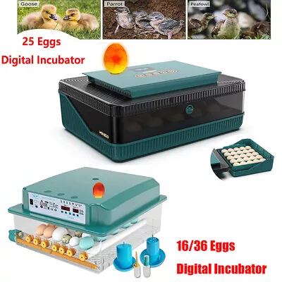 16/36 Eggs Digital Incubator Hatcher Fully Automatic Turning Temperature Control • £23.98