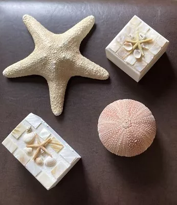 Starfish  Sea Urchin  And Trinket Boxes - Lovely Condition 🐚 • £9.99