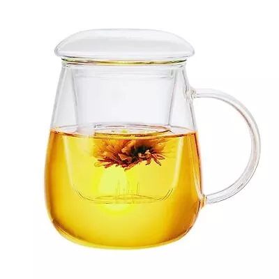 Glass Tea Cup With Infuser And Lid Steeping Mug With Removable Strainer And ... • $16.19