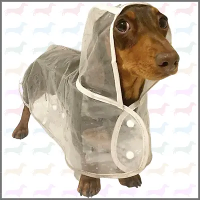 Dachshund Waterproof Rain Mac/Coat • £17.99